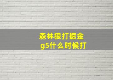 森林狼打掘金g5什么时候打