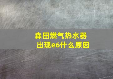 森田燃气热水器出现e6什么原因