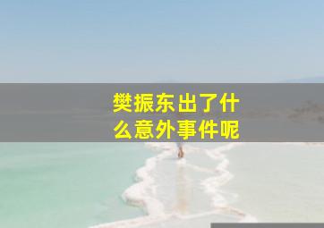 樊振东出了什么意外事件呢