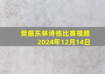 樊振东林诗栋比赛视频2024年12月14日