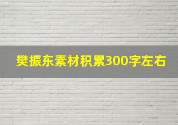 樊振东素材积累300字左右