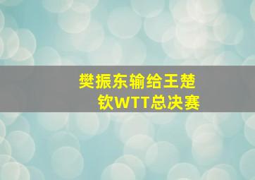 樊振东输给王楚钦WTT总决赛