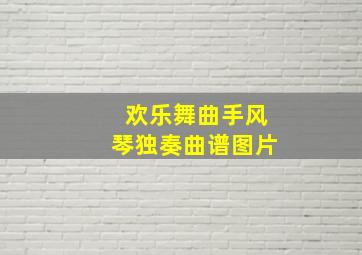 欢乐舞曲手风琴独奏曲谱图片