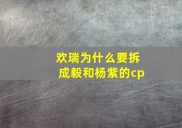 欢瑞为什么要拆成毅和杨紫的cp