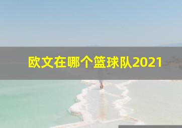 欧文在哪个篮球队2021