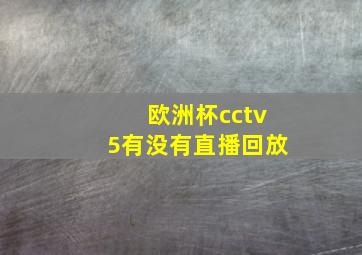 欧洲杯cctv5有没有直播回放