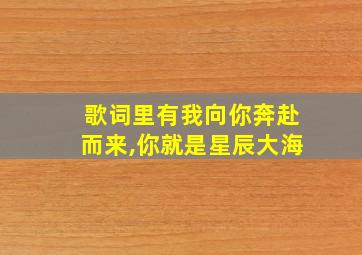 歌词里有我向你奔赴而来,你就是星辰大海