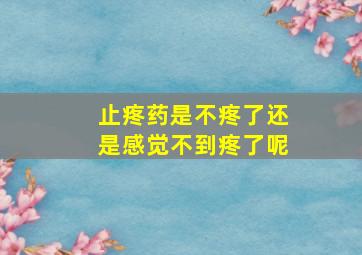 止疼药是不疼了还是感觉不到疼了呢