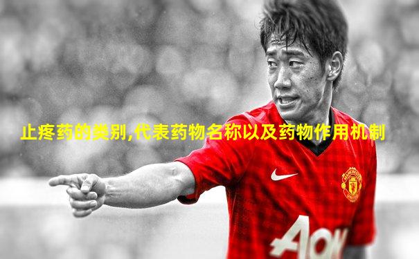 止疼药的类别,代表药物名称以及药物作用机制