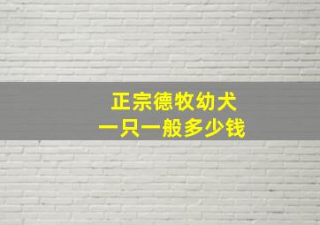 正宗德牧幼犬一只一般多少钱