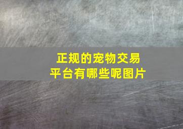 正规的宠物交易平台有哪些呢图片