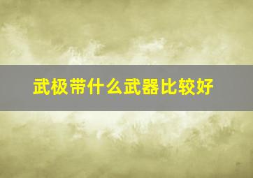 武极带什么武器比较好