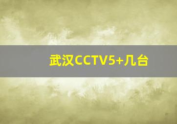 武汉CCTV5+几台