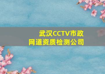 武汉CCTV市政网道资质检测公司