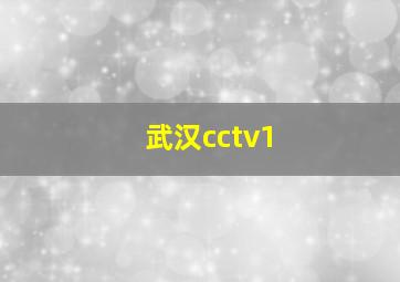 武汉cctv1