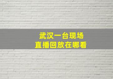 武汉一台现场直播回放在哪看