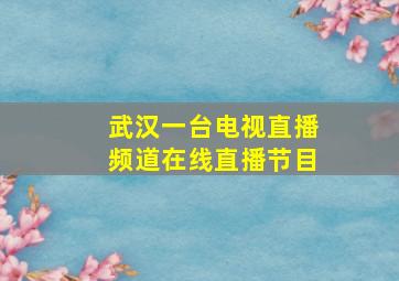 武汉一台电视直播频道在线直播节目