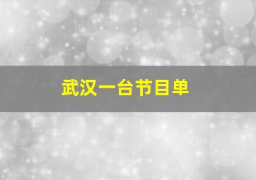 武汉一台节目单