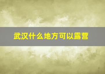 武汉什么地方可以露营