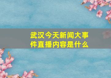 武汉今天新闻大事件直播内容是什么