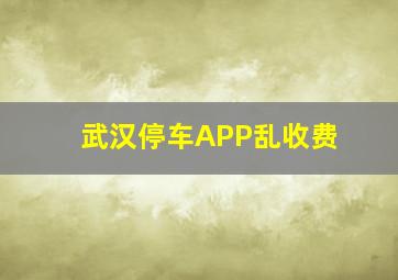 武汉停车APP乱收费