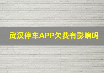 武汉停车APP欠费有影响吗