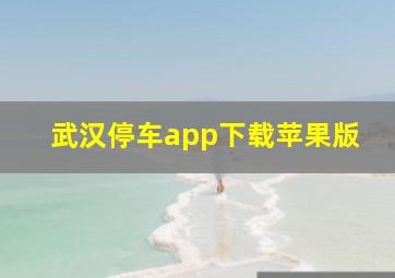 武汉停车app下载苹果版