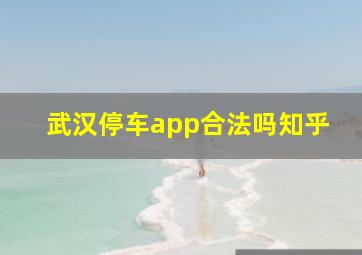 武汉停车app合法吗知乎