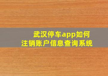 武汉停车app如何注销账户信息查询系统