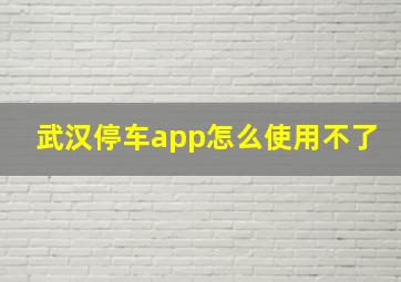 武汉停车app怎么使用不了