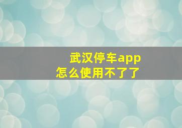 武汉停车app怎么使用不了了