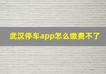 武汉停车app怎么缴费不了