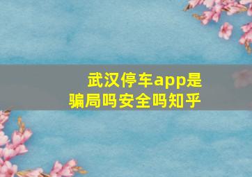 武汉停车app是骗局吗安全吗知乎