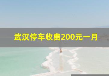 武汉停车收费200元一月