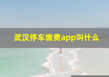 武汉停车缴费app叫什么