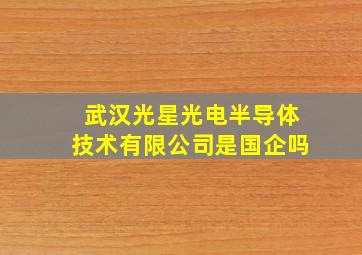 武汉光星光电半导体技术有限公司是国企吗