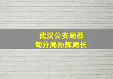 武汉公安局蔡甸分局孙辉局长