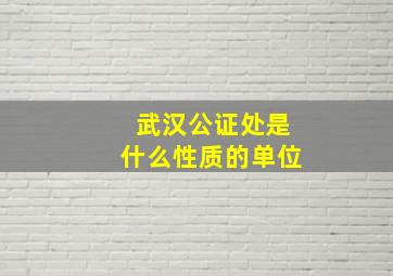 武汉公证处是什么性质的单位