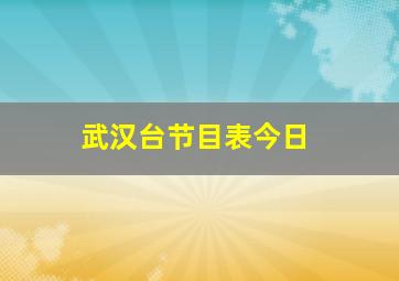 武汉台节目表今日