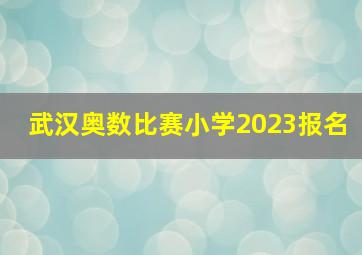 武汉奥数比赛小学2023报名