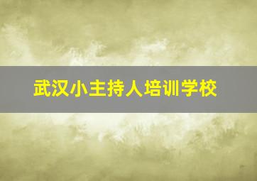 武汉小主持人培训学校