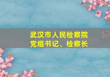 武汉市人民检察院党组书记、检察长