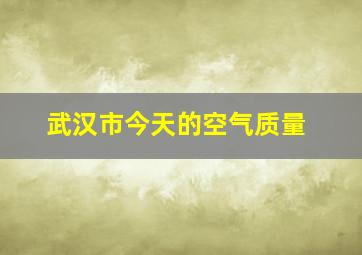 武汉市今天的空气质量