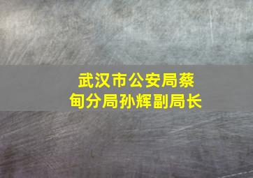 武汉市公安局蔡甸分局孙辉副局长