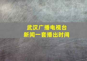 武汉广播电视台新闻一套播出时间