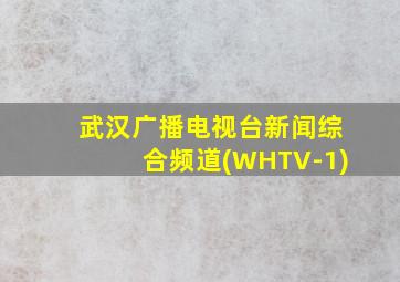 武汉广播电视台新闻综合频道(WHTV-1)