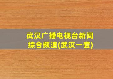 武汉广播电视台新闻综合频道(武汉一套)