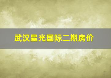 武汉星光国际二期房价