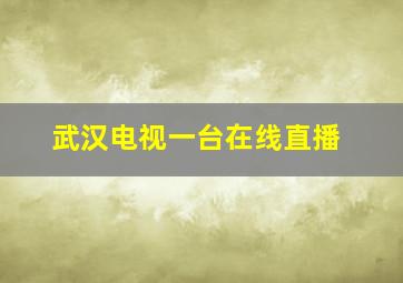 武汉电视一台在线直播