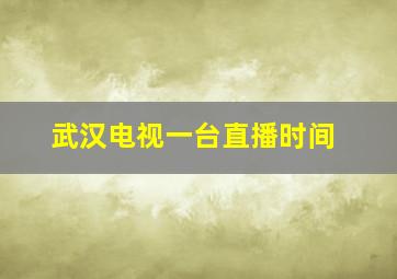 武汉电视一台直播时间